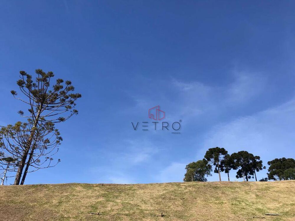 Loteamento e Condomínio, 722 m² - Foto 3