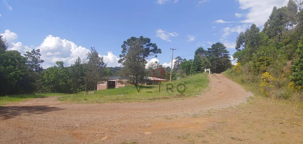Sítio, 1 hectares - Foto 4