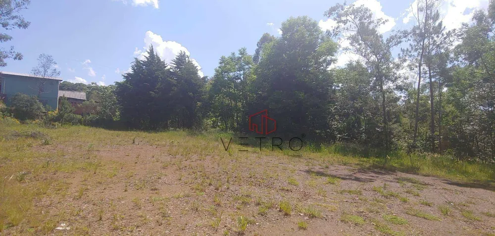 Sítio, 1 hectares - Foto 3