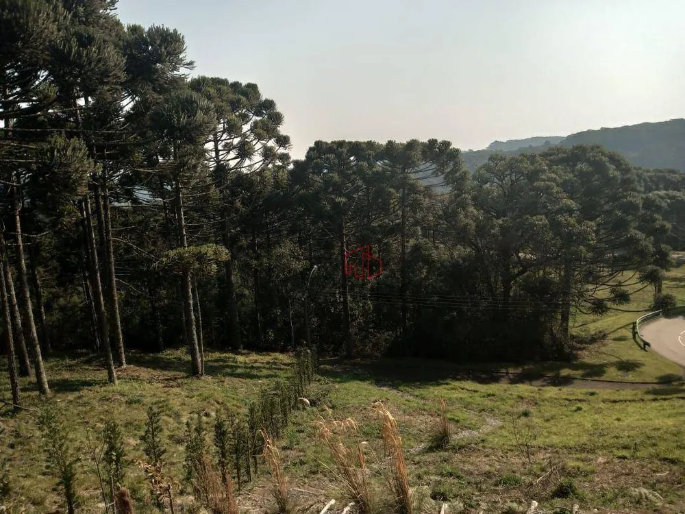 Loteamento e Condomínio, 1183 m² - Foto 1