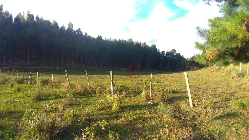 Sítio, 3 hectares - Foto 7