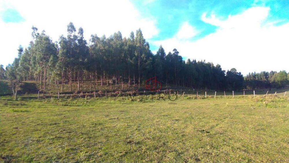 Sítio, 3 hectares - Foto 1