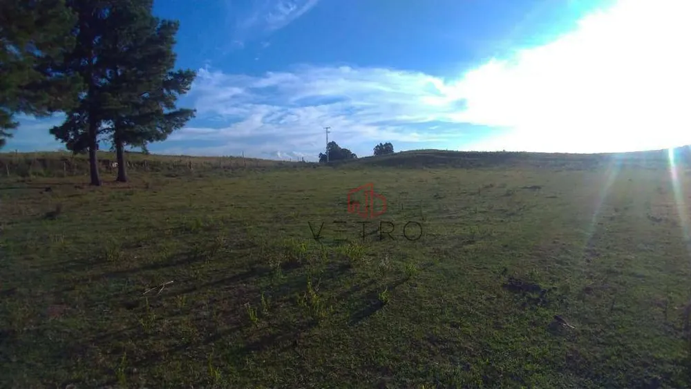 Sítio, 3 hectares - Foto 1