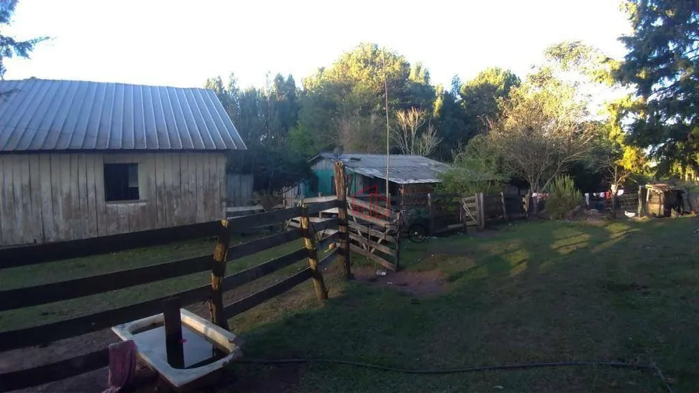 Sítio, 3 hectares - Foto 3