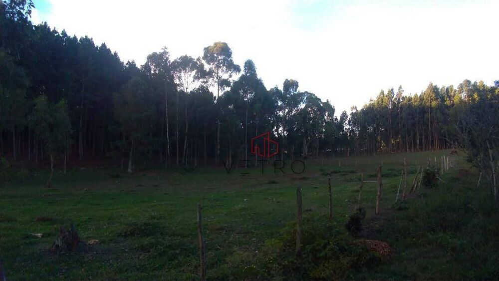 Sítio, 3 hectares - Foto 3