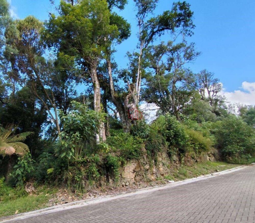 Loteamento e Condomínio, 641 m² - Foto 6