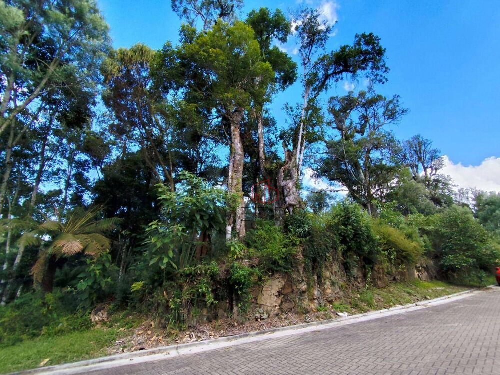 Loteamento e Condomínio, 641 m² - Foto 5