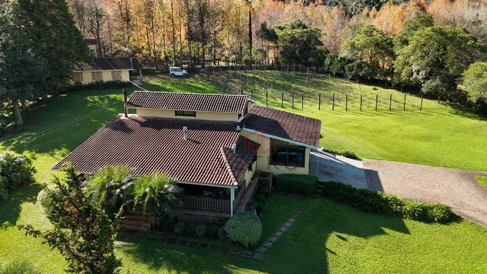 Sítio, 4 quartos, 8862 m² - Foto 2