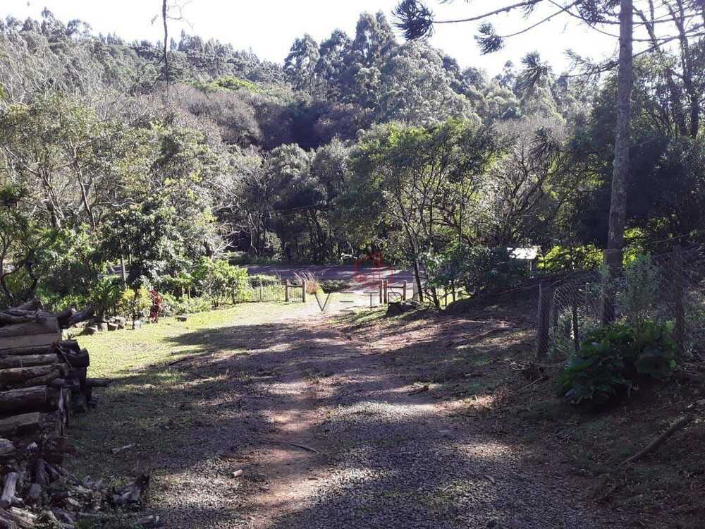 Sítio, 4 quartos, 6 hectares - Foto 8