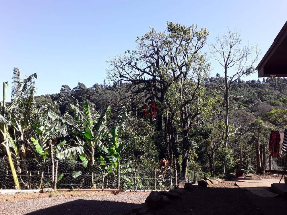 Sítio, 4 quartos, 6 hectares - Foto 4