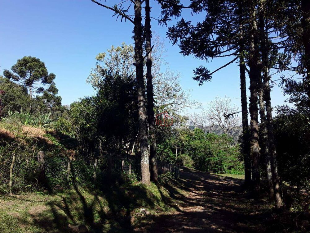 Sítio, 4 quartos, 6 hectares - Foto 5