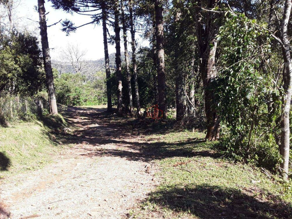 Sítio, 4 quartos, 6 hectares - Foto 6