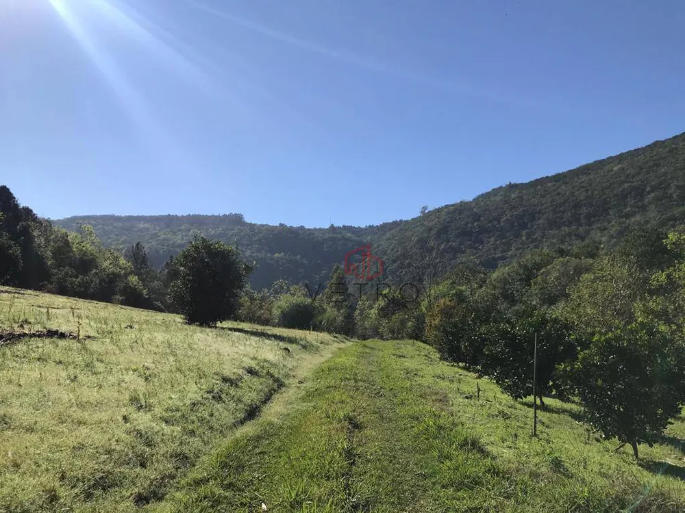 Sítio, 3 quartos, 45 hectares - Foto 3