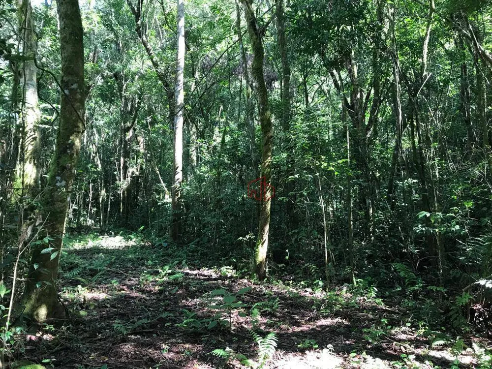 Sítio, 3 quartos, 45 hectares - Foto 6