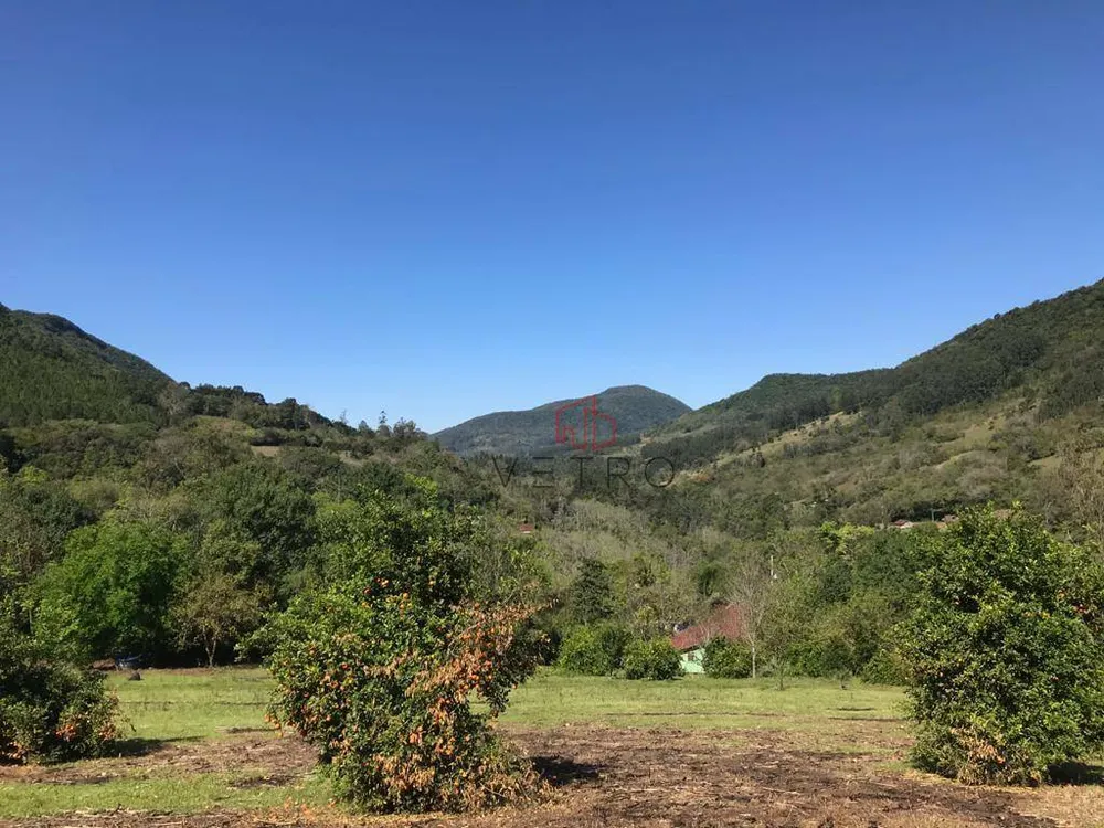 Sítio, 3 quartos, 45 hectares - Foto 4