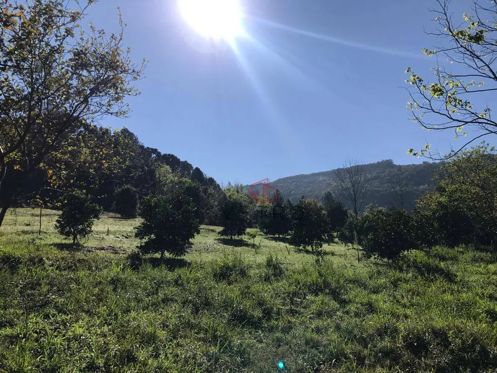 Sítio, 3 quartos, 45 hectares - Foto 1