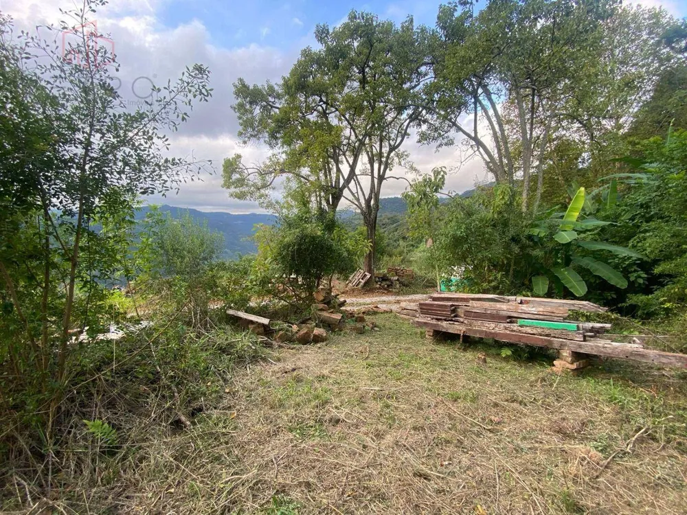 Sítio, 3 hectares - Foto 3