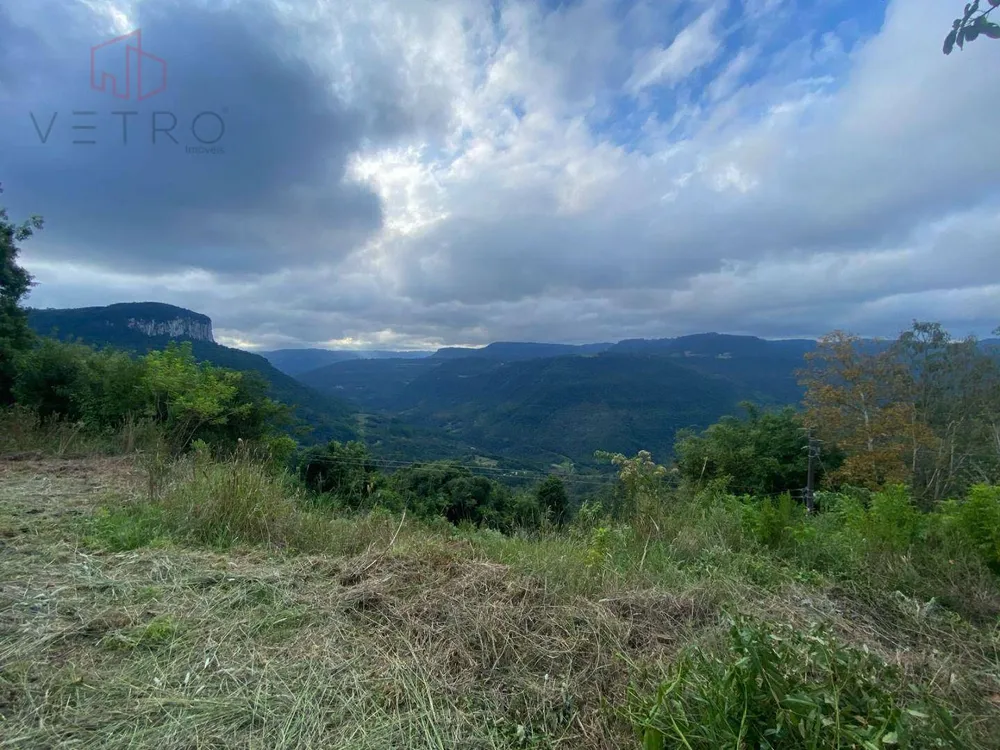 Sítio, 3 hectares - Foto 2