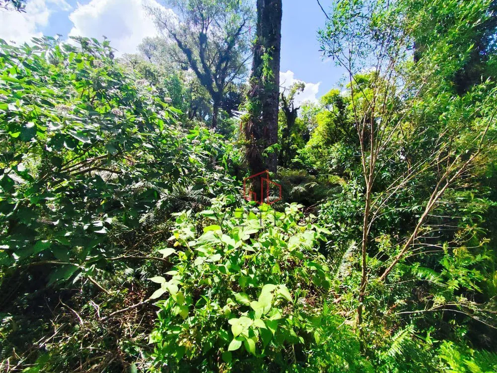 Loteamento e Condomínio, 665 m² - Foto 3