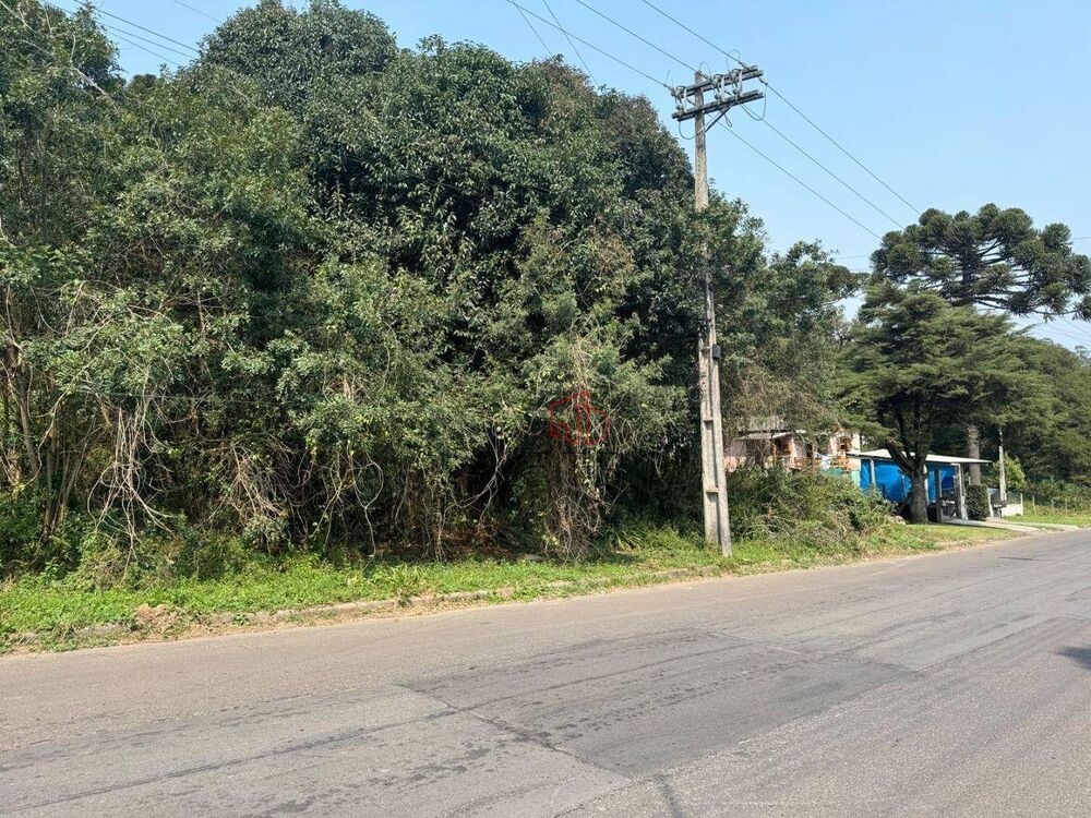 Terreno, 4801 m² - Foto 3