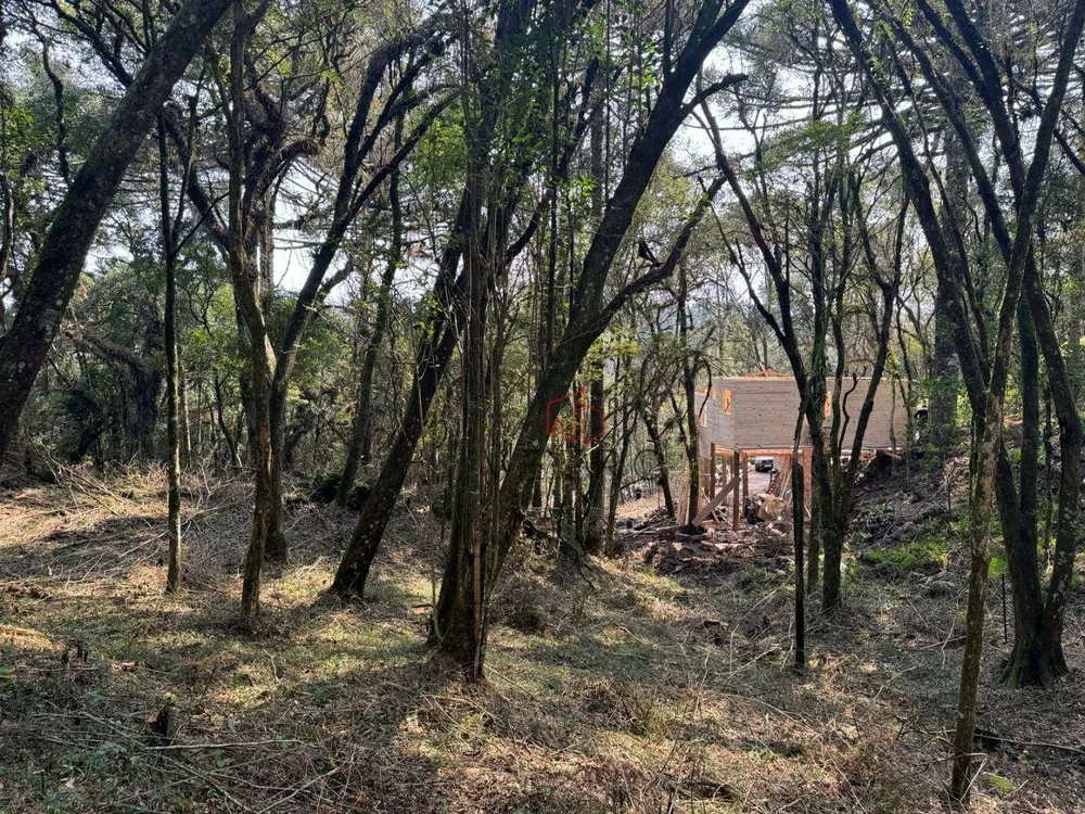 Terreno, 4801 m² - Foto 8
