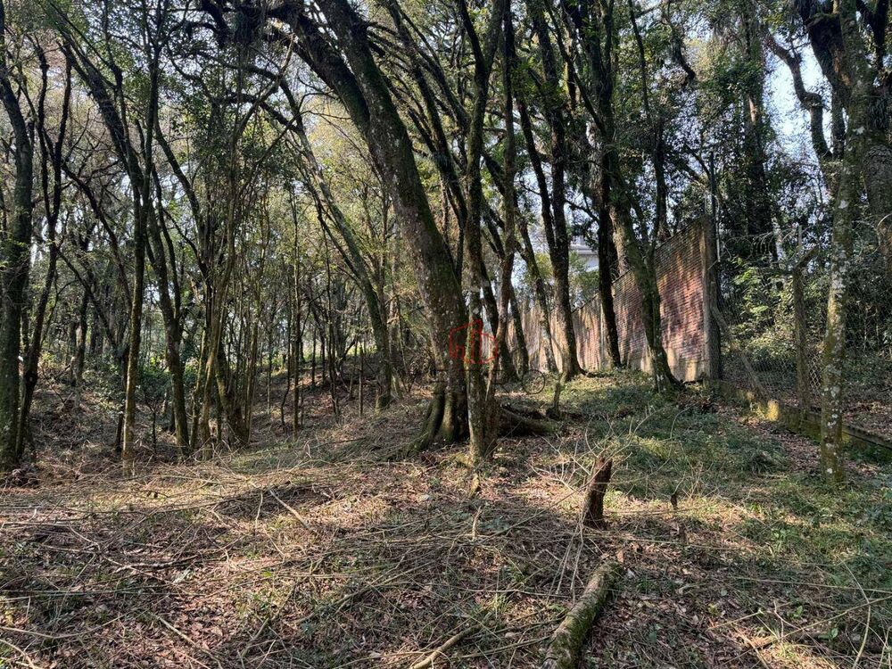 Terreno, 4801 m² - Foto 8