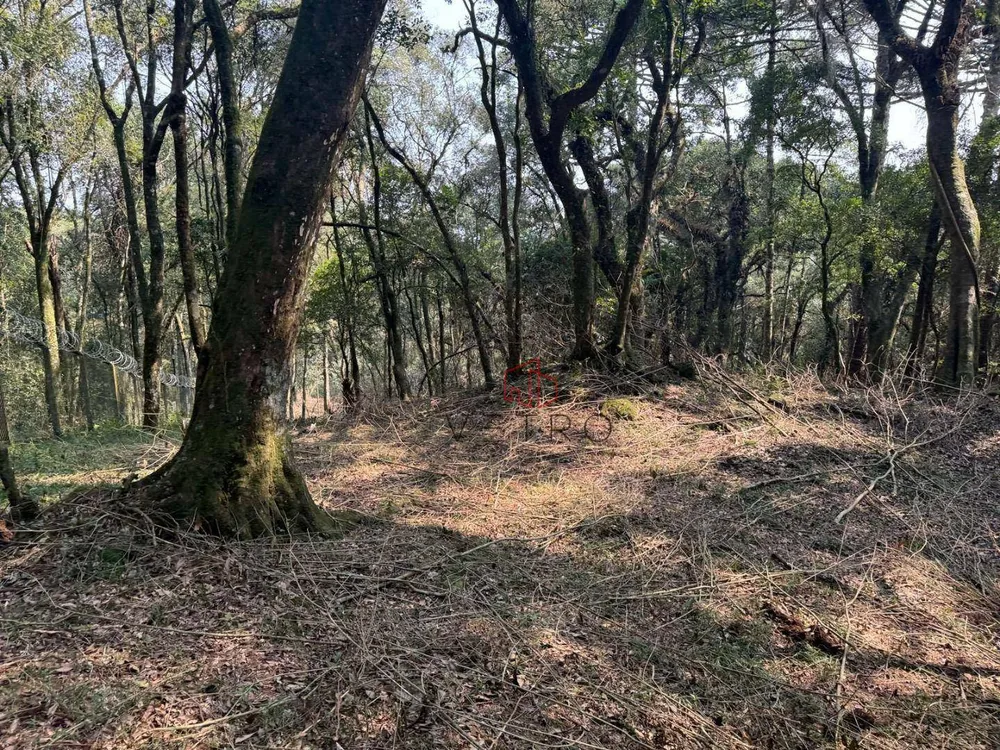 Terreno, 4801 m² - Foto 7