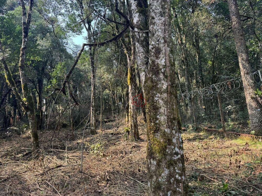 Terreno, 4801 m² - Foto 7