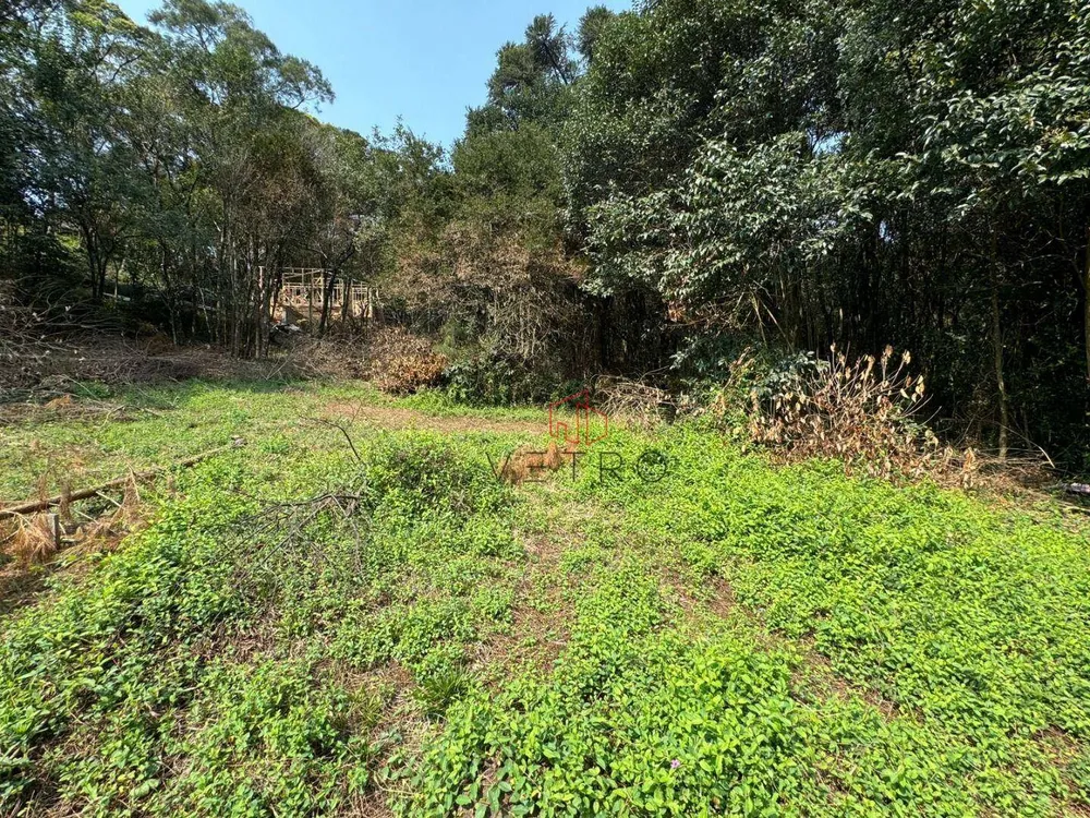 Terreno, 4801 m² - Foto 2