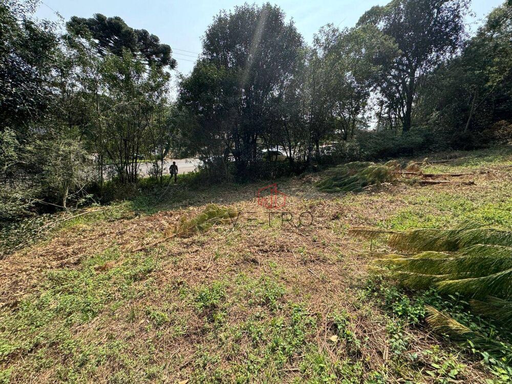 Terreno, 4801 m² - Foto 2