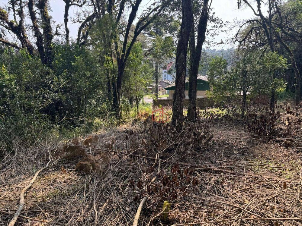 Terreno, 4801 m² - Foto 5