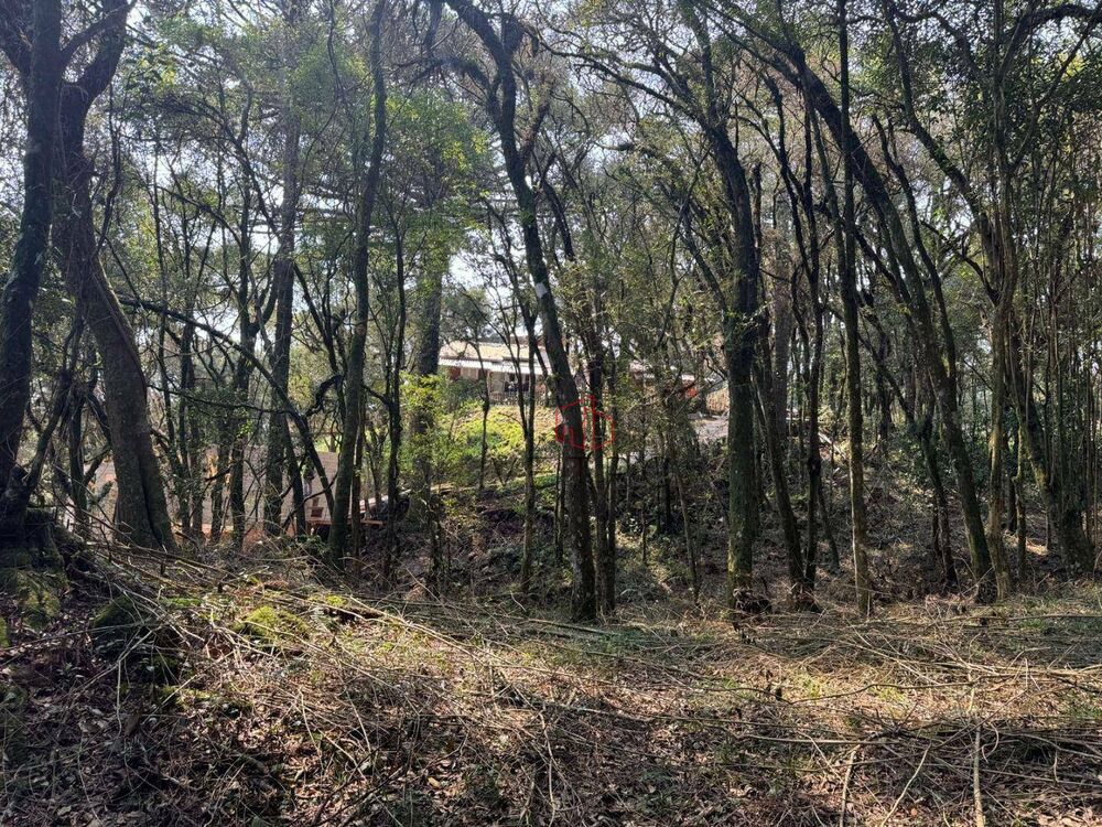 Terreno, 4801 m² - Foto 4