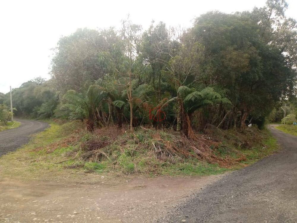 Terreno, 646 m² - Foto 2