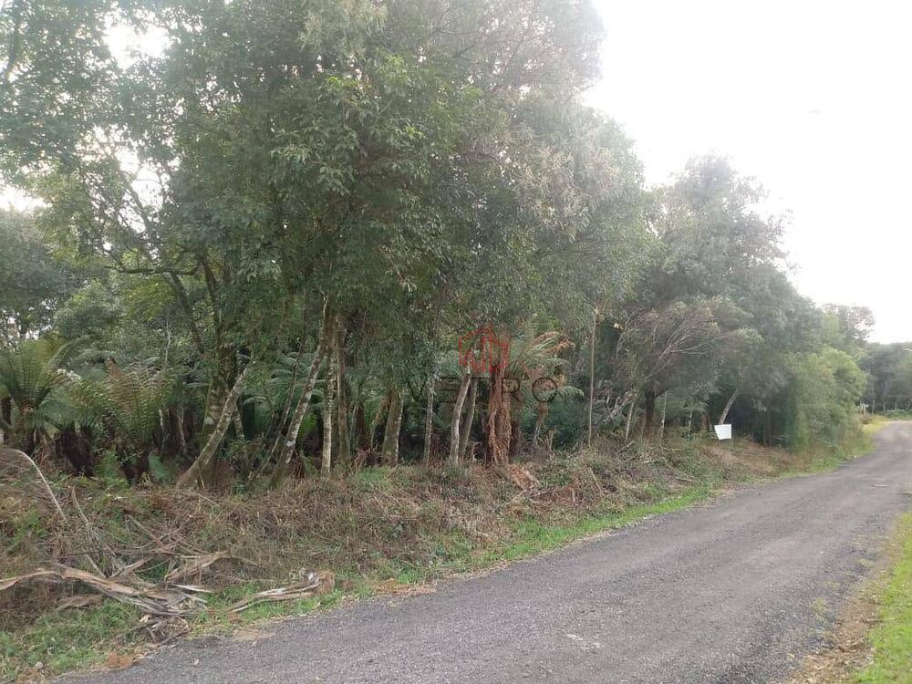 Terreno, 646 m² - Foto 6