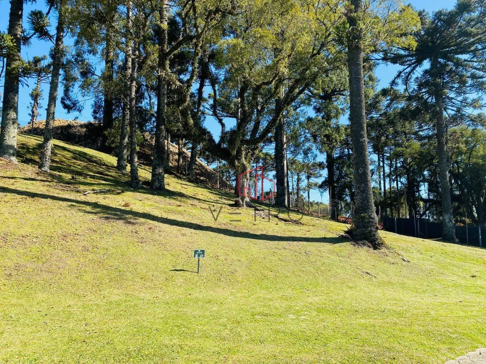 Loteamento e Condomínio, 807 m² - Foto 2