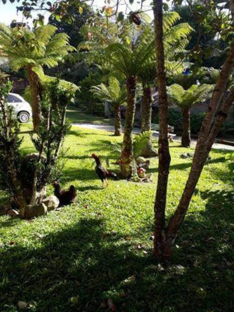 Casa, 3 quartos, 130 m² - Foto 4