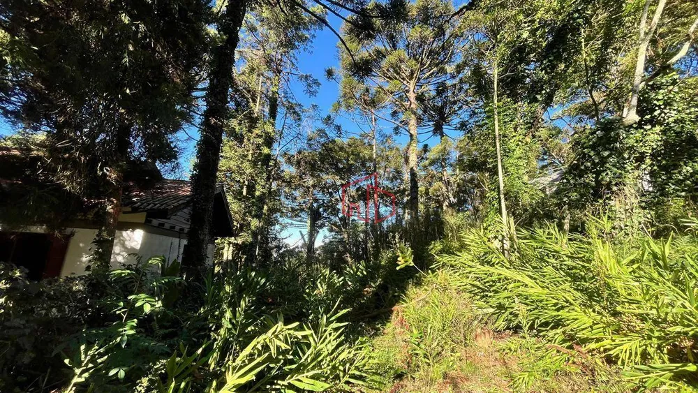 Terreno, 1760 m² - Foto 9