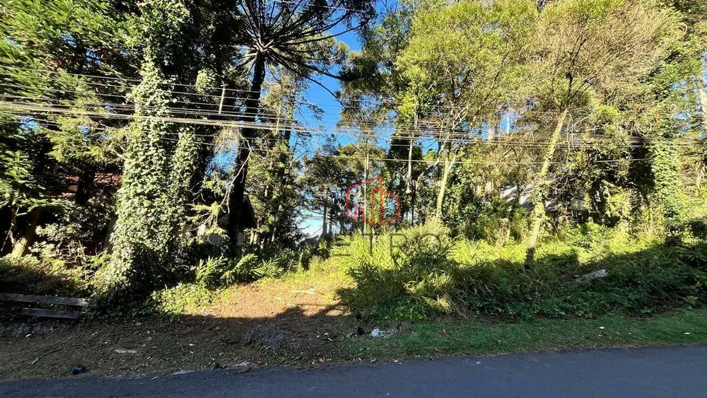 Terreno, 1760 m² - Foto 7