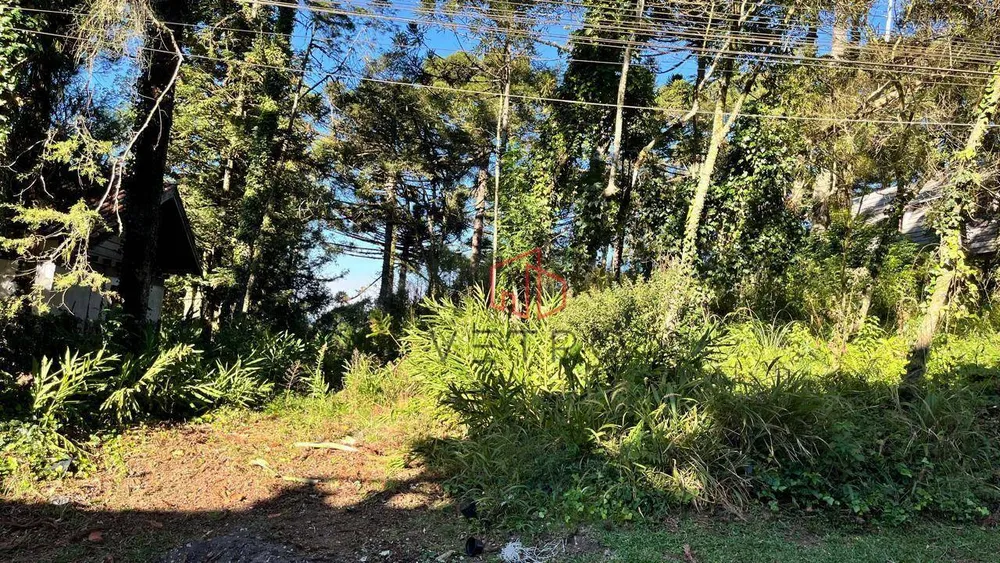 Terreno, 1760 m² - Foto 8