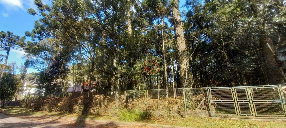 Terreno, 2526 m² - Foto 3