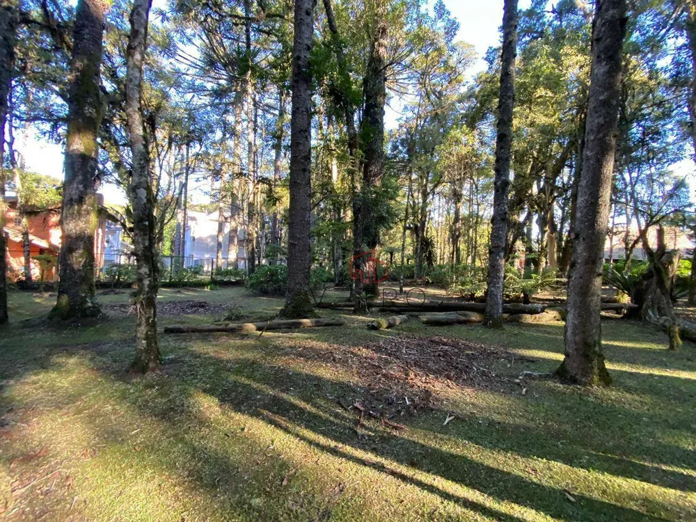Terreno, 2526 m² - Foto 2