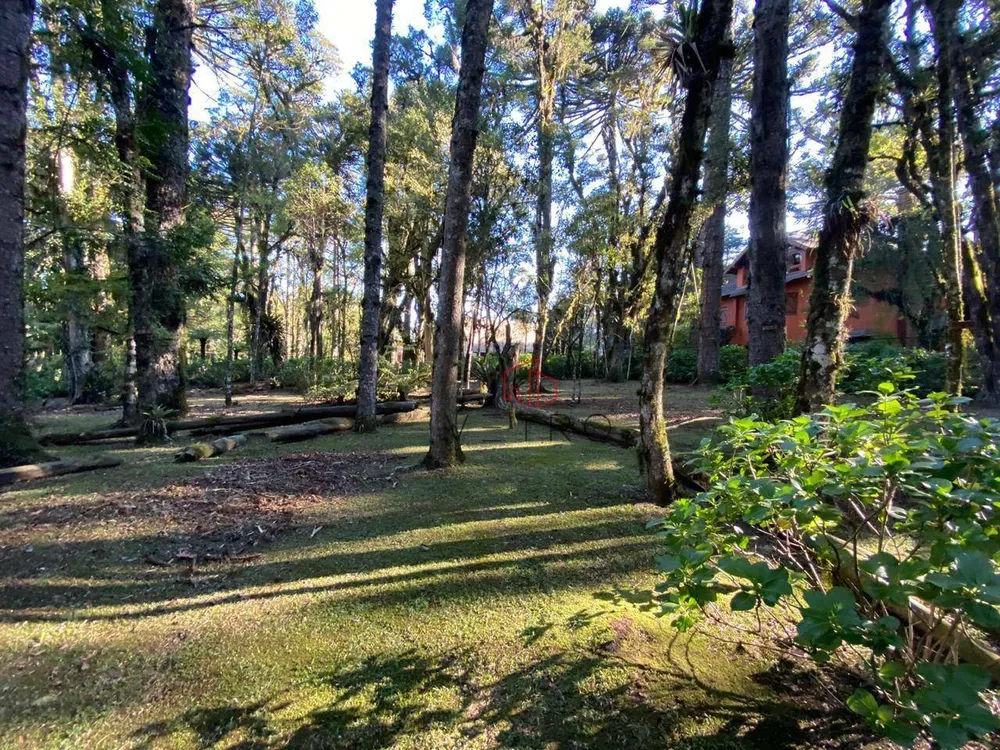 Terreno, 2526 m² - Foto 5