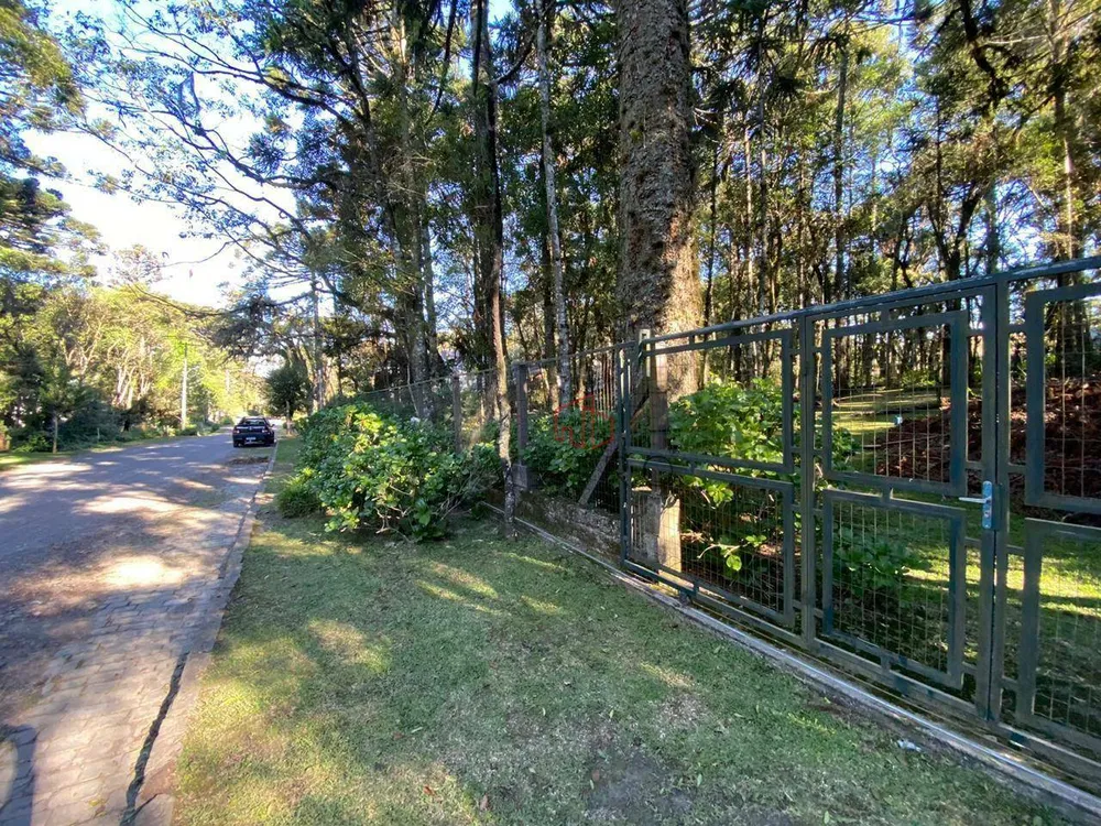 Terreno, 2526 m² - Foto 4