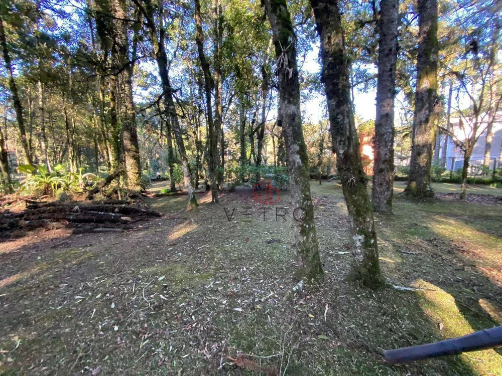 Terreno, 2526 m² - Foto 6