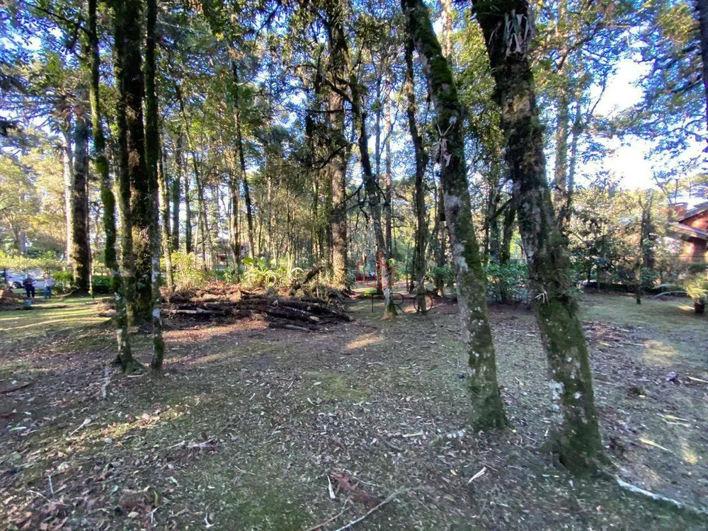 Terreno, 2526 m² - Foto 8