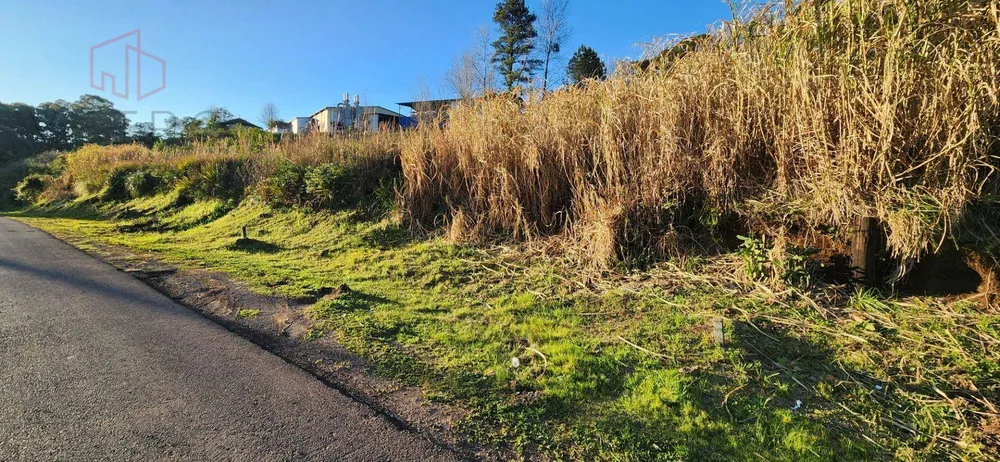Terreno, 571 m² - Foto 3