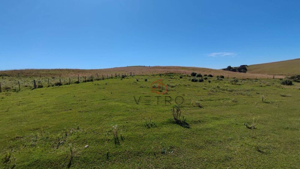 Sítio à venda com 3 quartos, 37000M2 - Foto 16