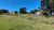 Sítio, 3 quartos, 4 hectares - Foto 4