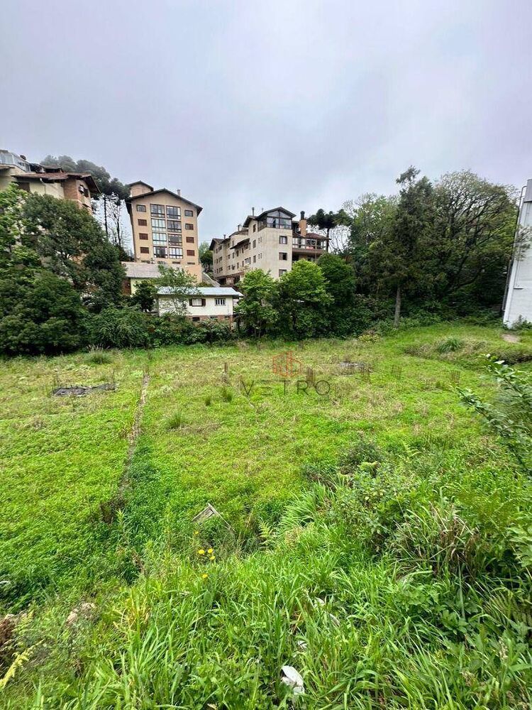 Terreno, 4015 m² - Foto 6