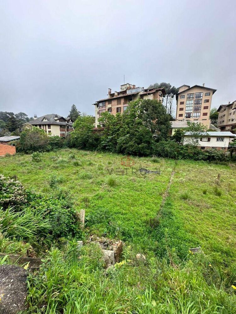 Terreno, 4015 m² - Foto 4